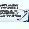 The Real McCoy Carpet Cleaning